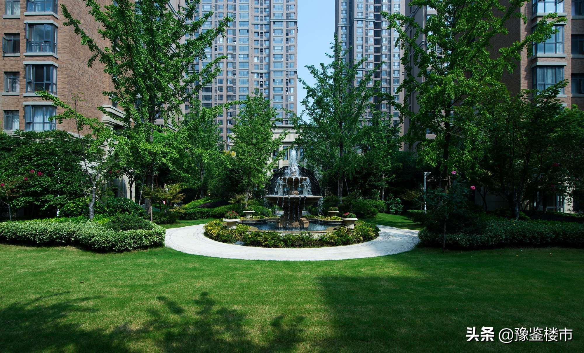 郑州正商最新事件,正商为什么那么多