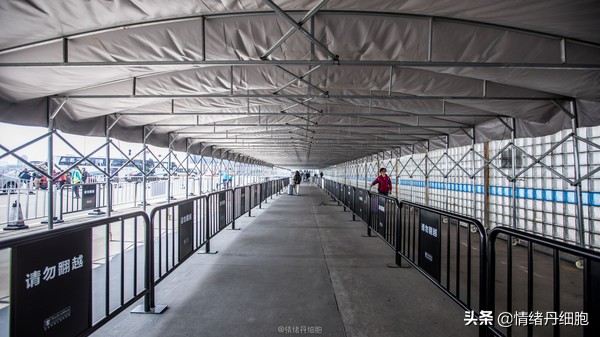 邮轮游选择哪个游轮好,邮轮旅游全攻略公主号