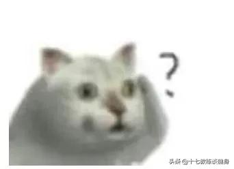 健身减脂要不要吃蛋白粉,健身要吃蛋白质粉还是增肌粉