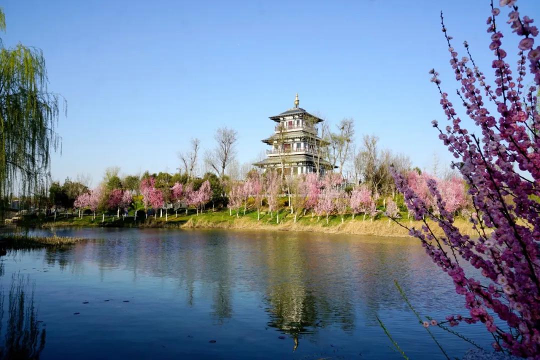 春水初生林初盛春,春水初生林初盛