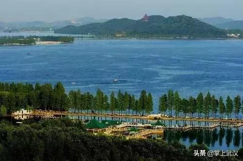 武汉人对长江的感情,为什么说武汉对外地人友好