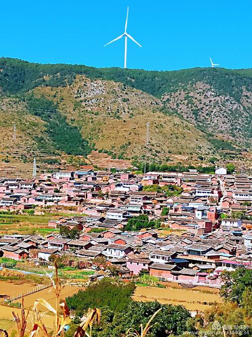 帮扶退伍军人事迹,武义县乌石头村周方勇