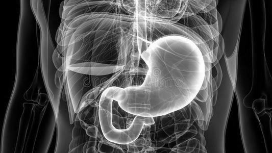 安汉公与王莽,一生热爱科学