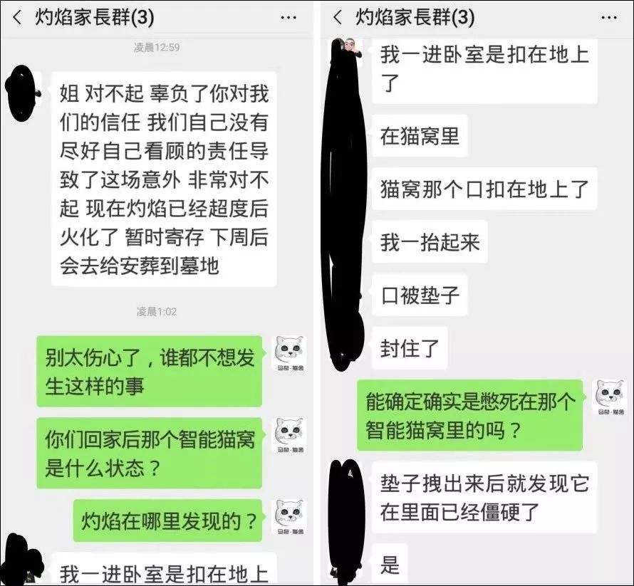 小佩闷死猫事件,小佩猫窝闷死猫