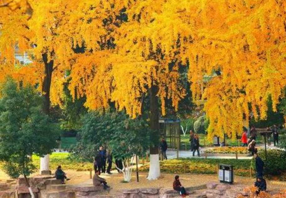 宁波东钱湖顶级度假酒店,宁波东钱湖旅游度假酒店推荐