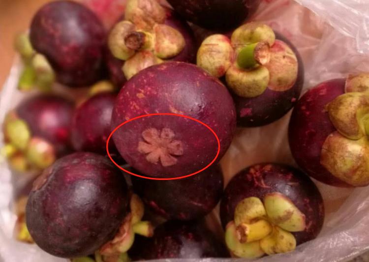 如何选到鲜甜山竹,怎样挑山竹山竹又甜又好吃皮薄