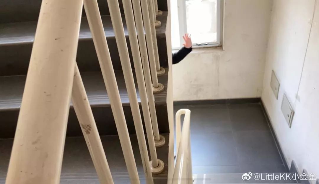 疫线浪漫故事,战疫中的爱情故事深度评析