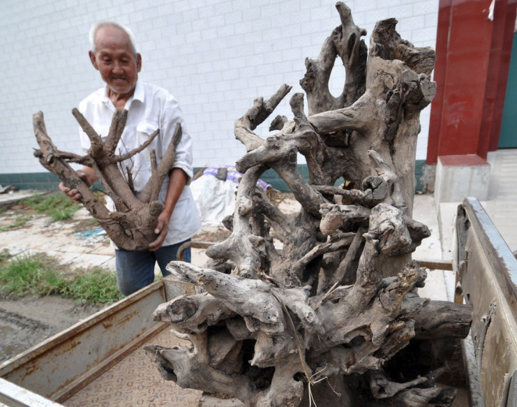 根雕的四种方法,根雕与根艺哪个更有收藏价值