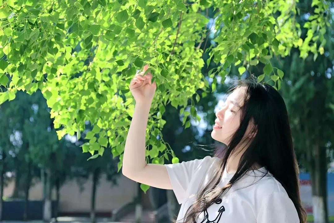 江西省南康中学校歌歌词,大余南安中学校歌