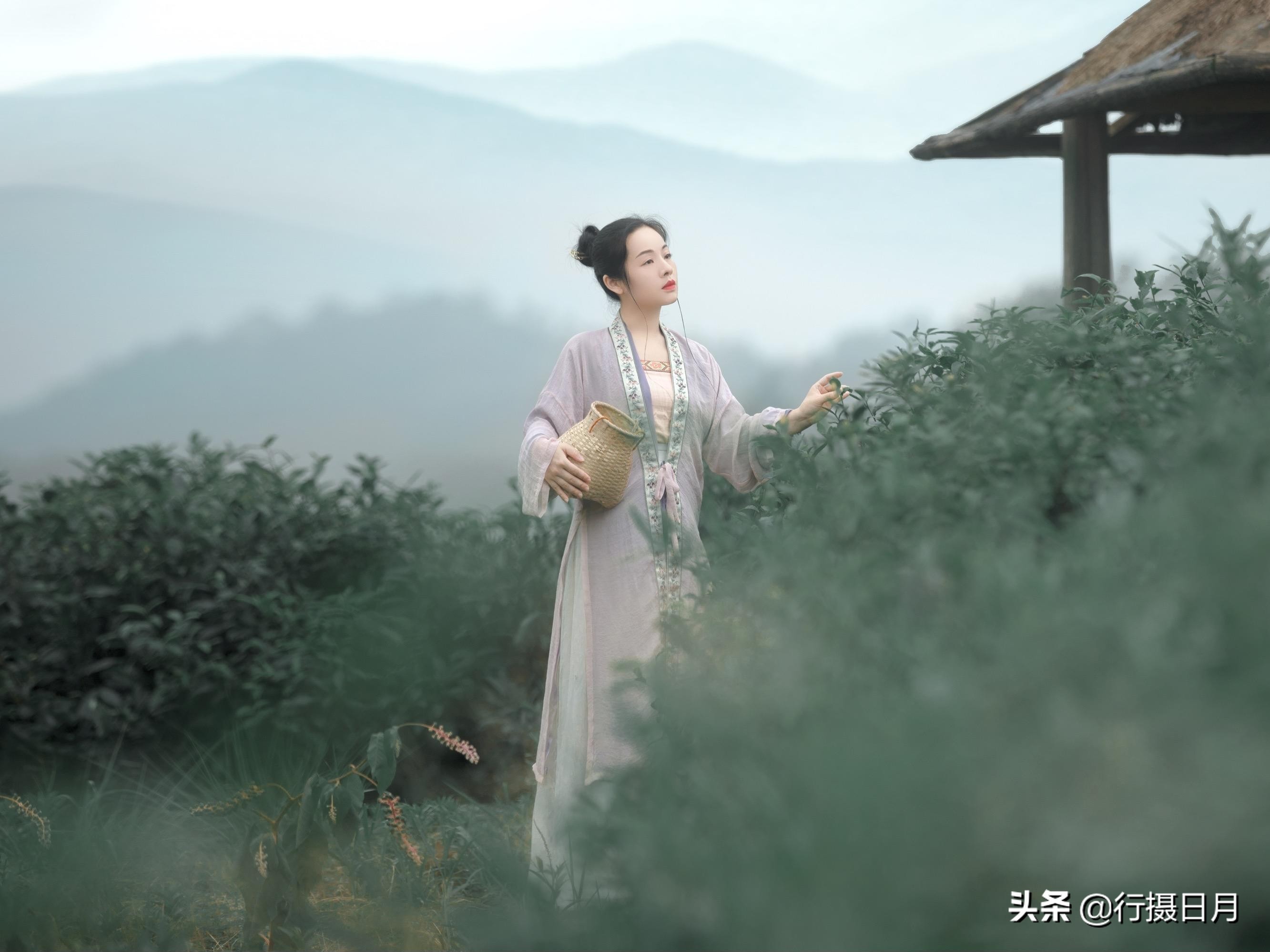 一朵青花为谁开，开在红尘紫陌，一眉笑意为谁婀，婀起和颜悦色？