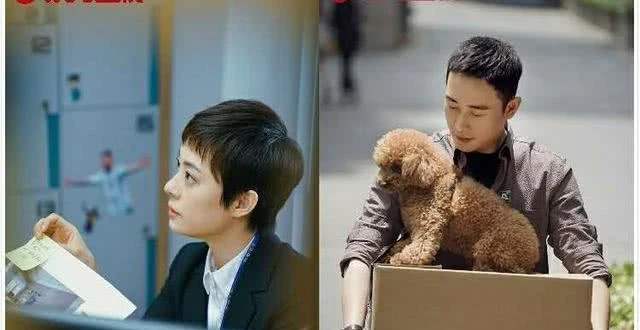 安家九亭片段,安家这部剧怎么样