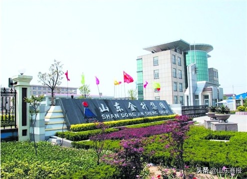 涓存矀鏅烘収鍟嗗煄鍙戝睍鍓嶆櫙,涓存矀鏅烘収鍟嗗煄闂鏁存敼