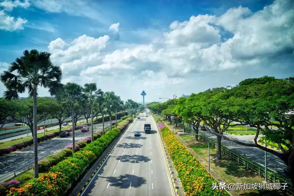 新加坡在国人眼里,外国人惊叹新加坡