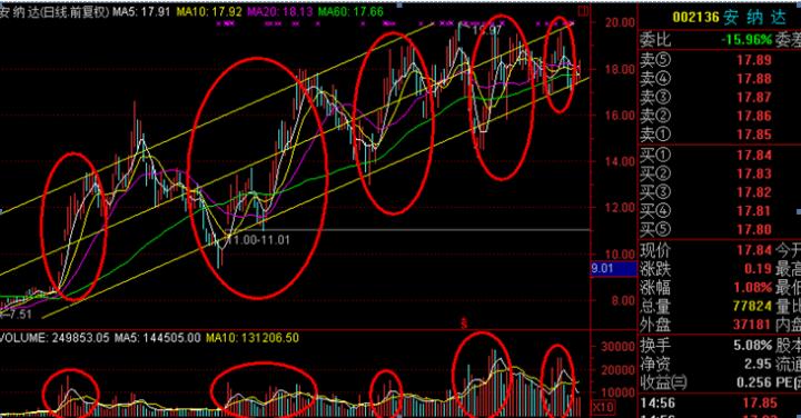 无量下跌的本质逻辑,这是我见过最透彻的文章