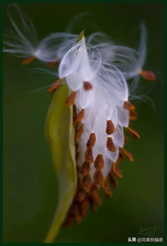 六一相册影集,六一照片专场