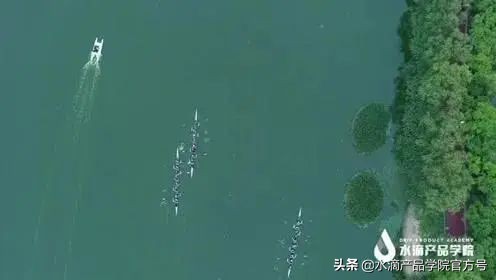 用游戏高手的用户洞察法，如何复制一个拼多多