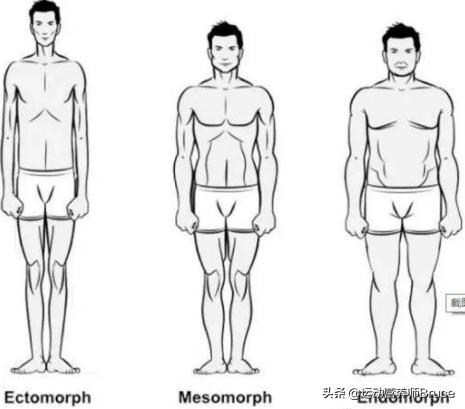 现在审美观为什么都偏向于瘦瘦的,为什么中国的审美就是瘦