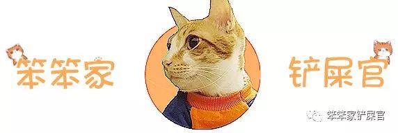 一个爱猫咪的女人,爱猫人士猫过敏