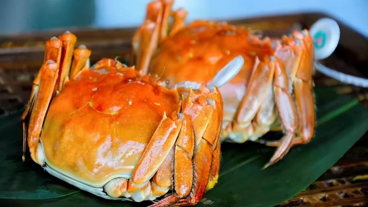 家乡特产有哪些好吃的,有什么家乡的特产