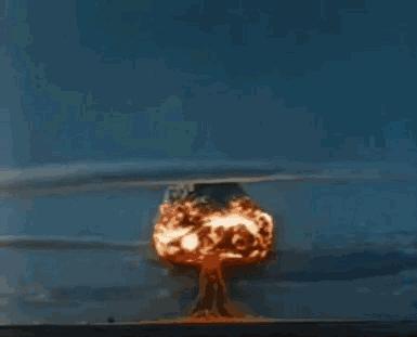 猫放一个屁，全家吃不下饭！真的好臭啊啊啊啊啊