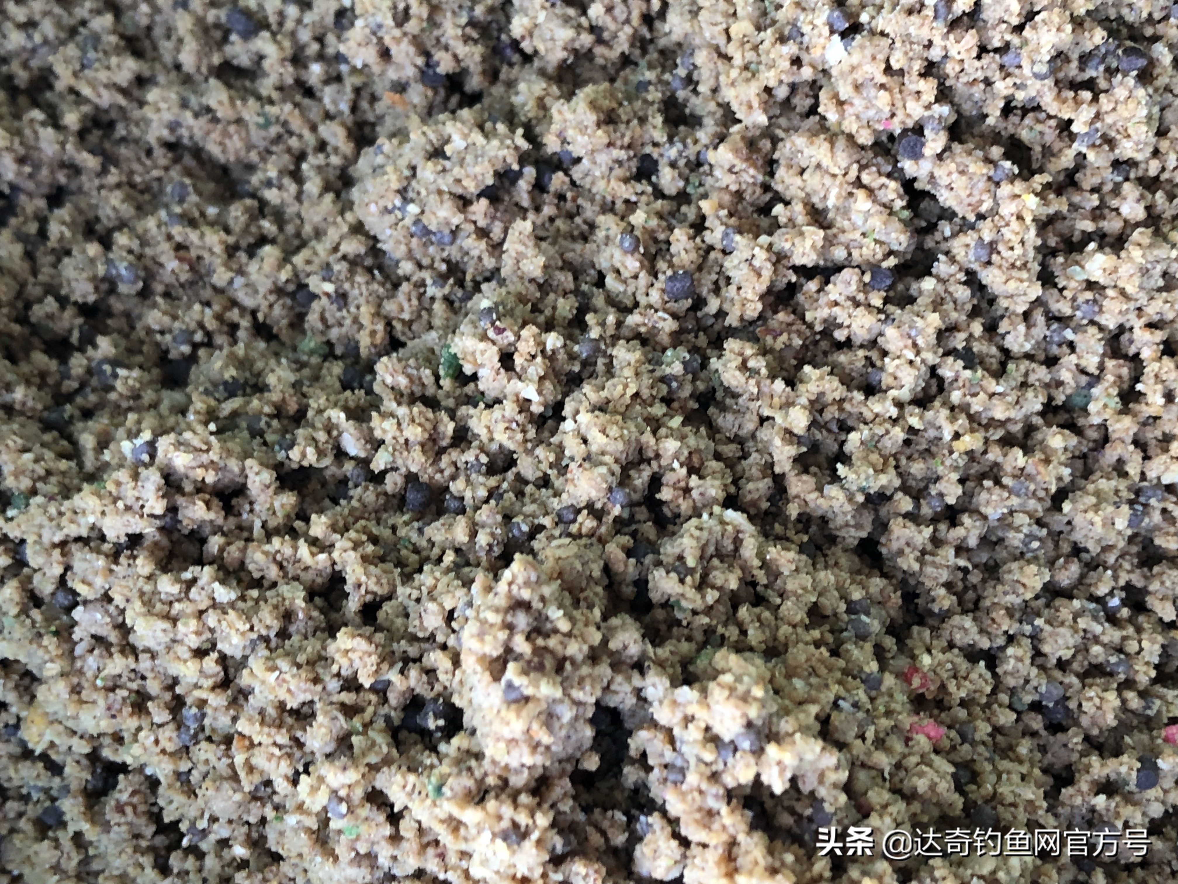 膨化颗粒饵料加什么钓鲫鱼,商品颗粒饵料野钓效果如何