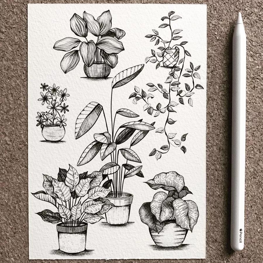 一看就懂的针管简笔画,针管笔入门手绘1000例临摹图