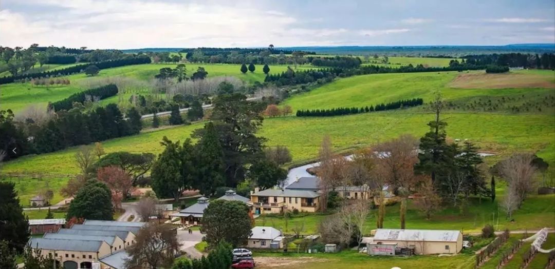 澳大利亚红酒小知识大全,一文了解意大利红酒