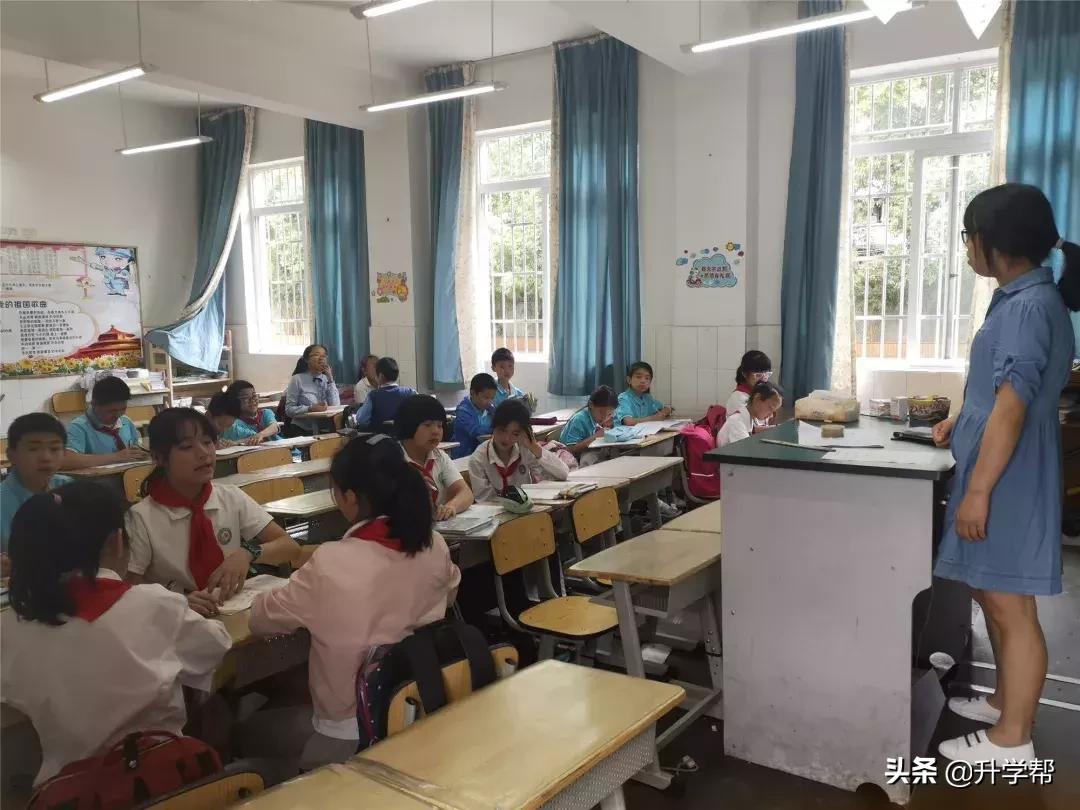成都教育局小学生课后服务热点,成都市中小学课后托管