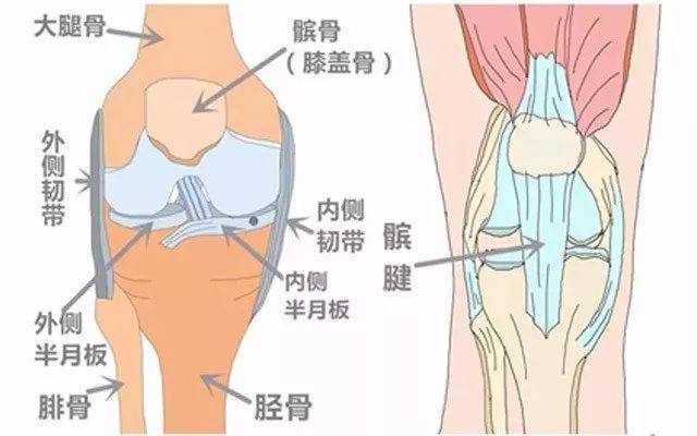 护膝套的用途,护膝套有什么作用