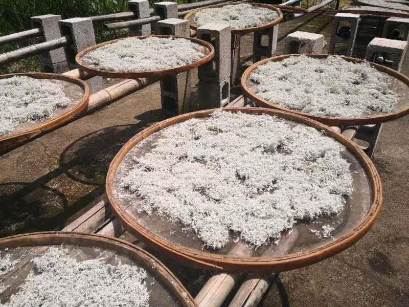 张家界的莓茶是什么植物,张家界的特级莓茶40克多少钱一盒