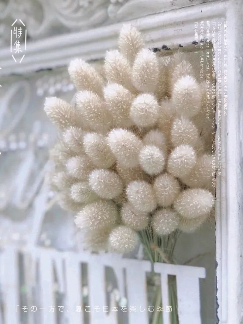 bonjour新品,bonjour的作品