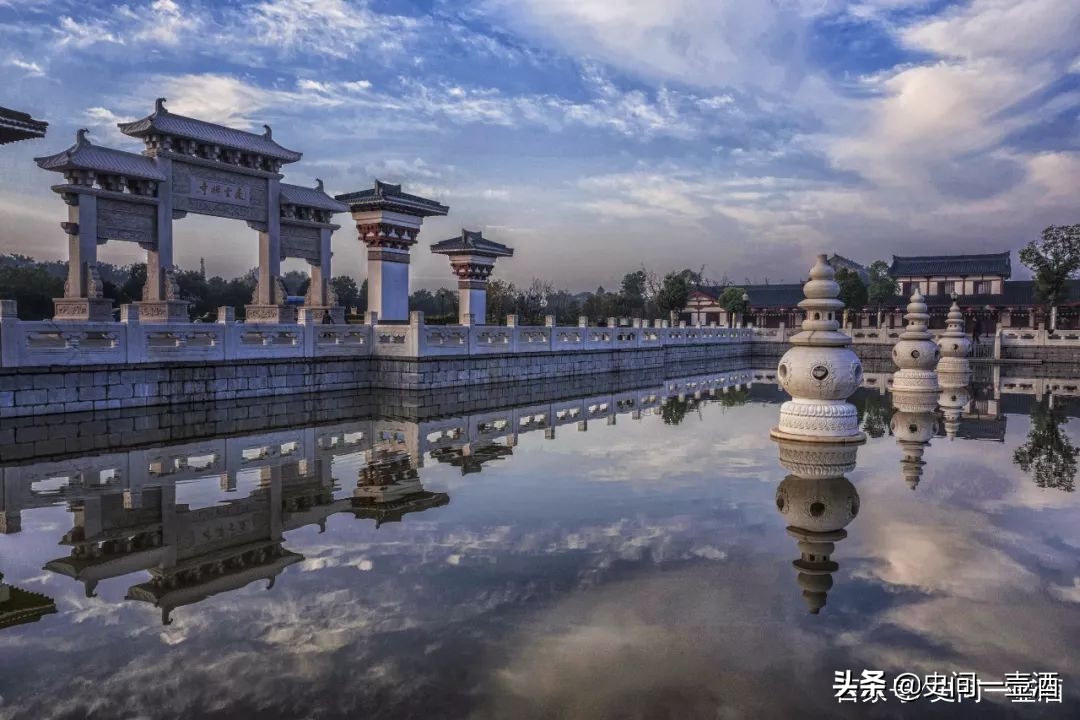 江苏邳州市银杏之乡,银杏之乡江苏泰兴