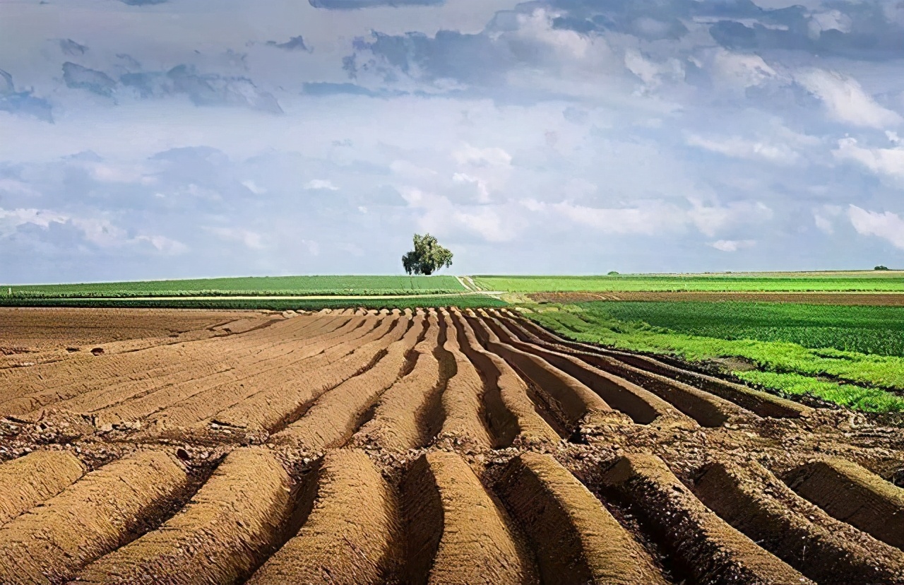 耕地建房拆除有补偿吗,在自家耕地上建的房子拆迁赔偿吗