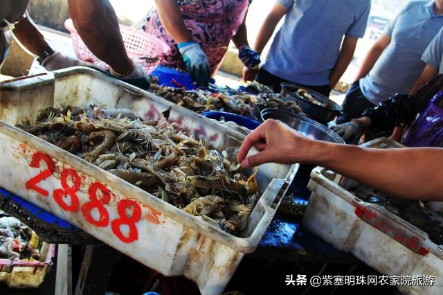 东戴河沿海渔家院蒸汽海鲜,辽宁东戴河渔家小院