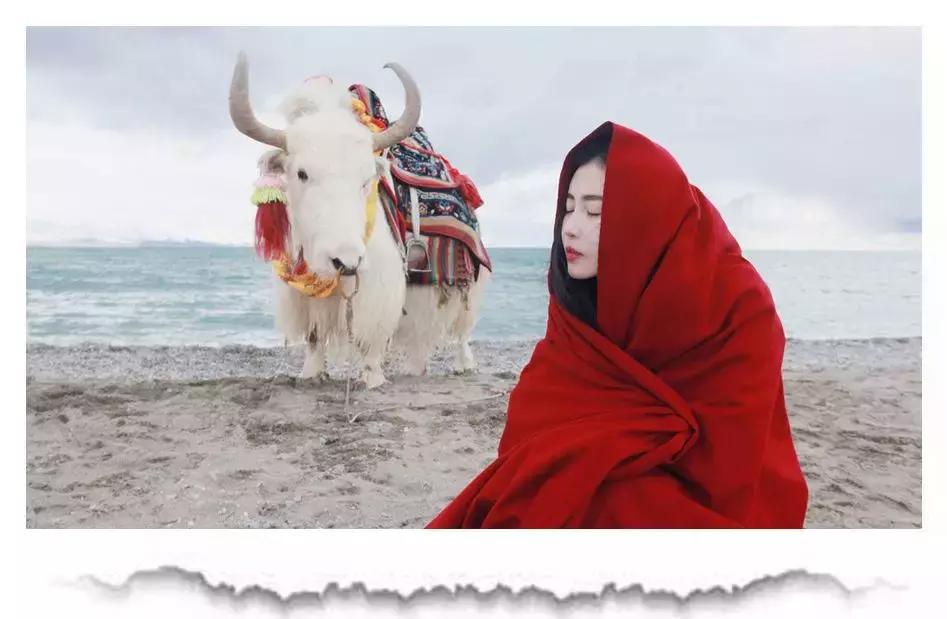 “去了一趟*藏西**，我睡了100个女人”：伪朝圣，榨干了多少中国人