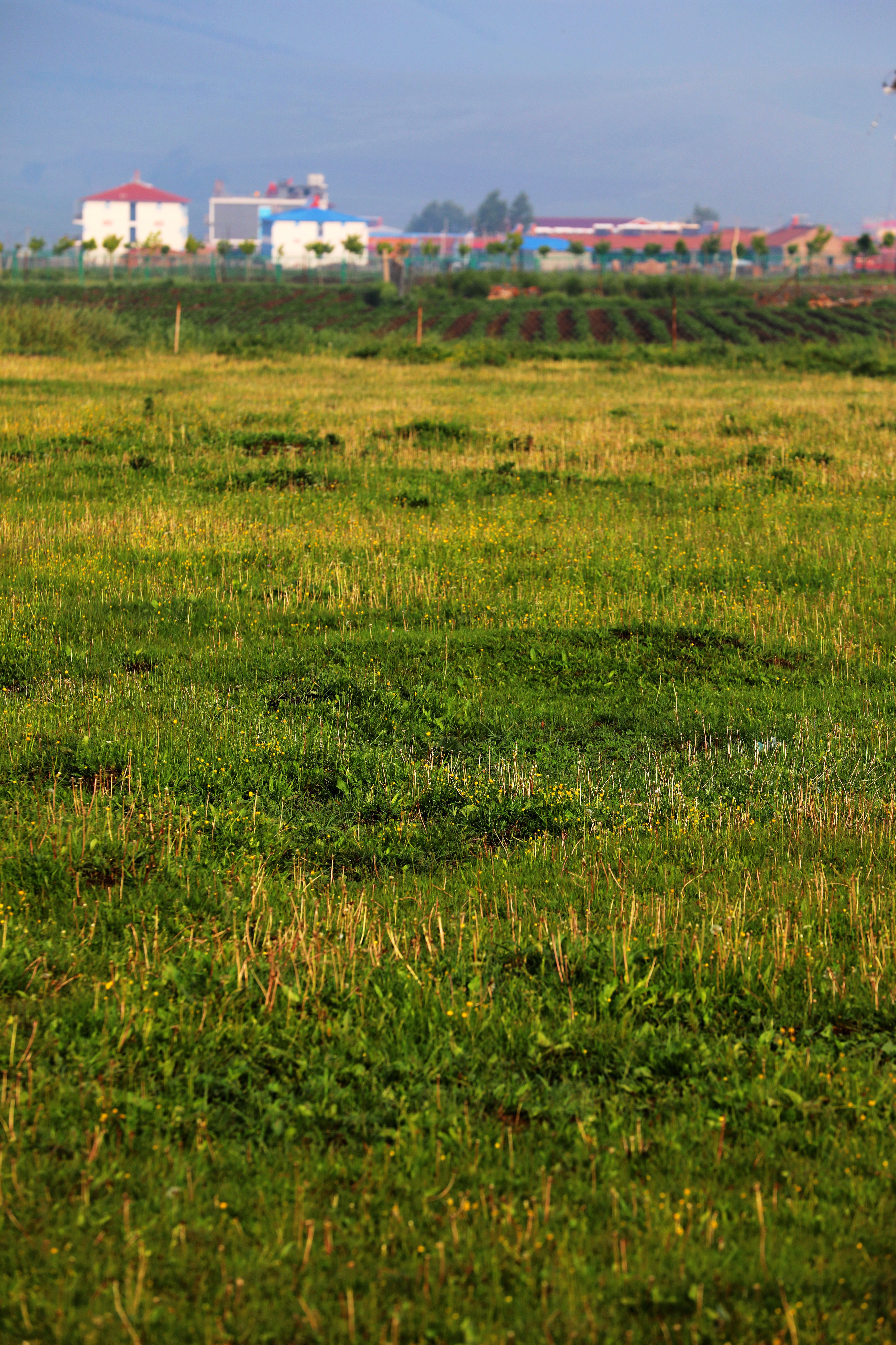 京北第一天路最佳旅游时间,京北第一天路草原