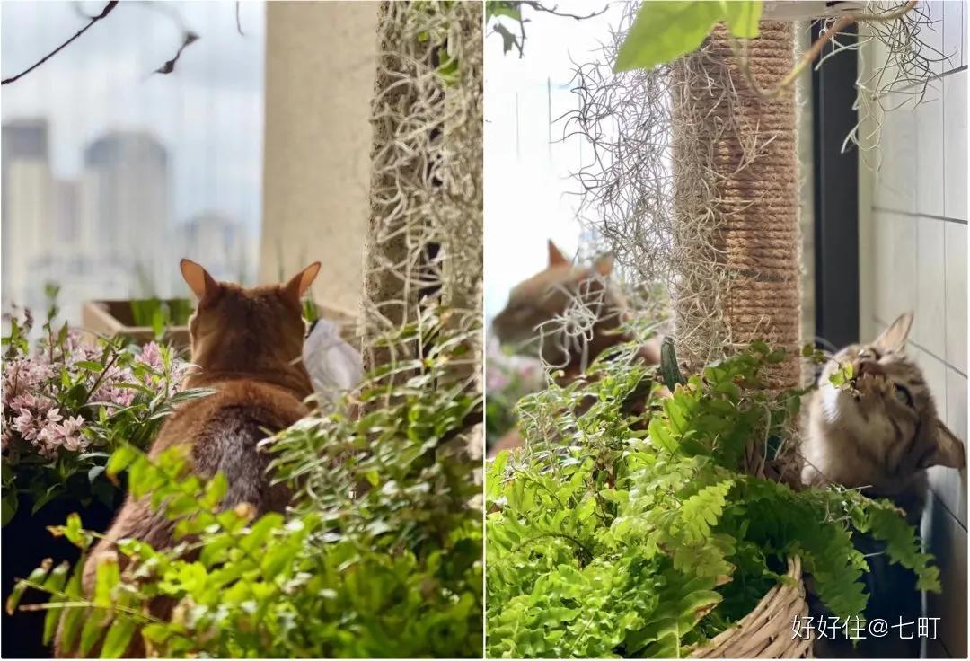 看完她家78㎡江景房，才发现最懂生活的，还是川渝人啊