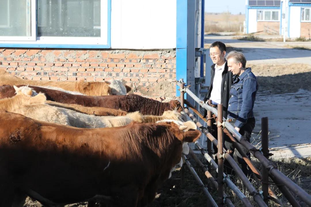 电力设计院前十,电力设计院排名前十名