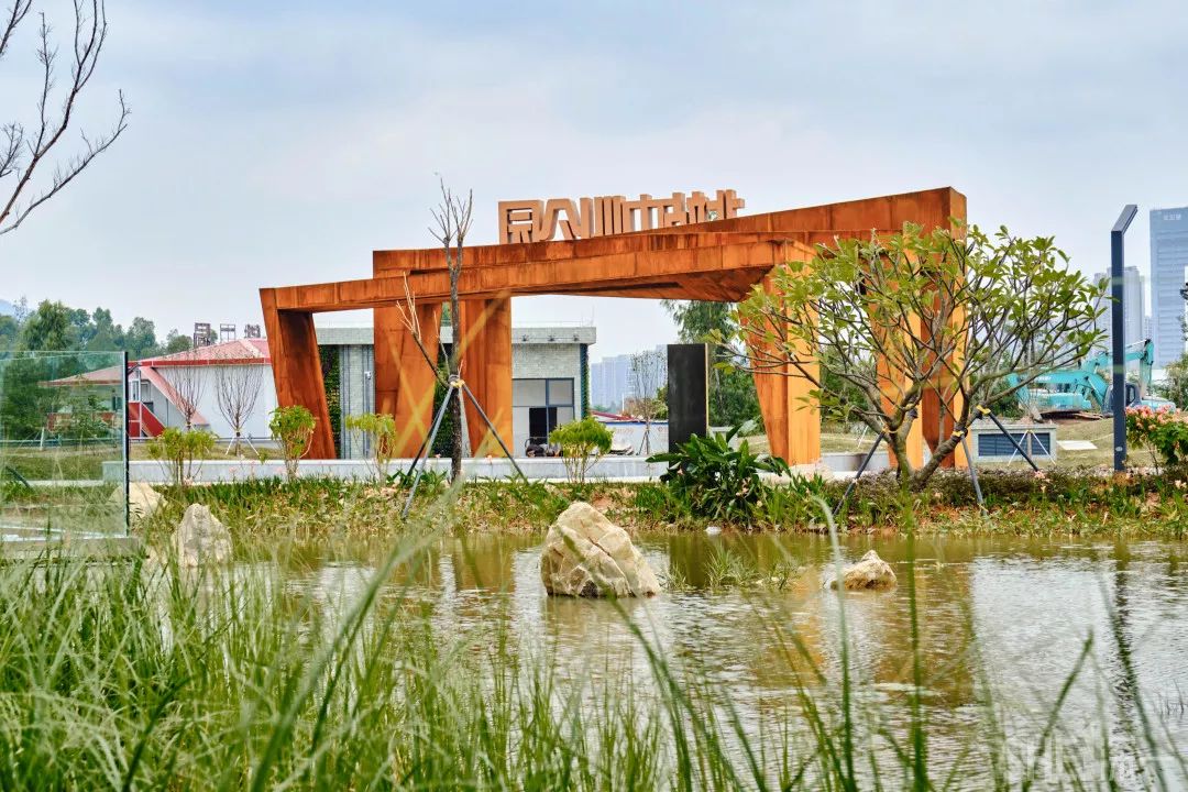 龙华新公园在哪里,深圳龙华区免费的公园