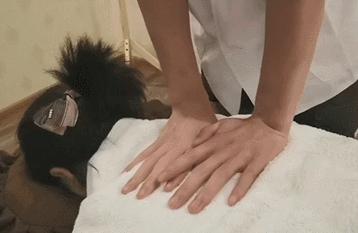 中医养生馆保健刮痧按摩,天津最好的刮痧店