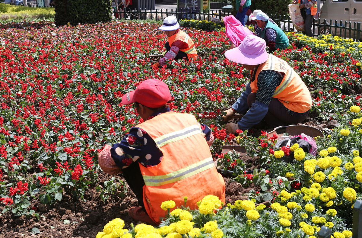 2021年及以后园林景观如何进行管理才能有所提高