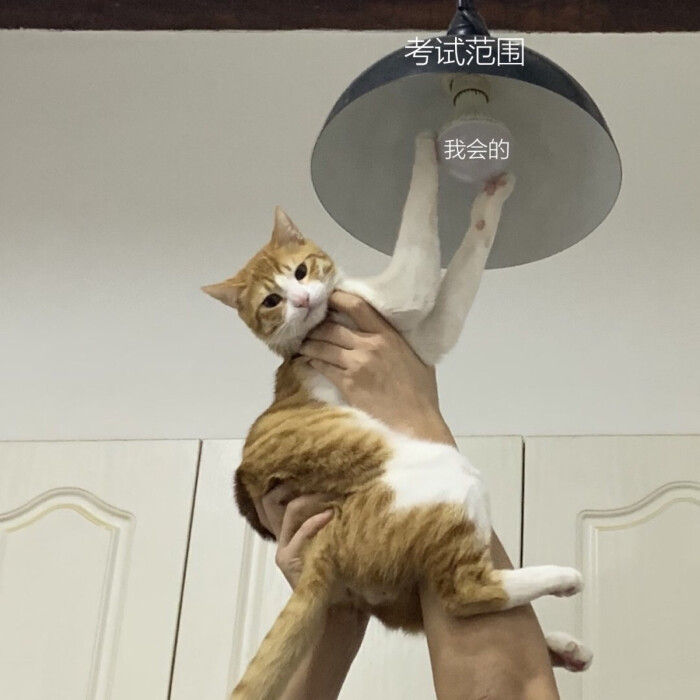 期末考试吸欧气,期末考试前吸书大法