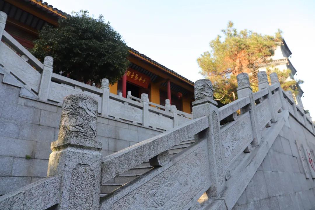 苏州西山农家乐旅游网官网,苏州西山农家乐民宿游