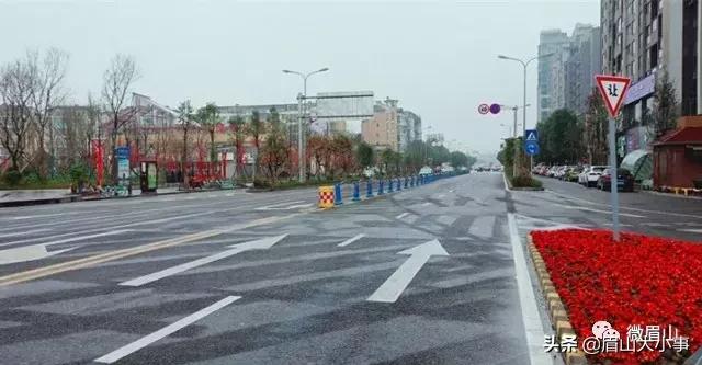 跑过眉山的6园3桥8路不负“东马”不负美景