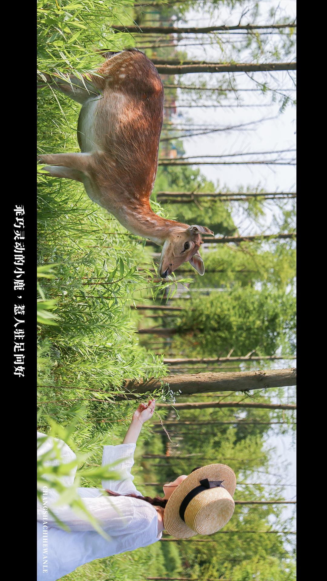 田园低空飞行,田园采摘之旅