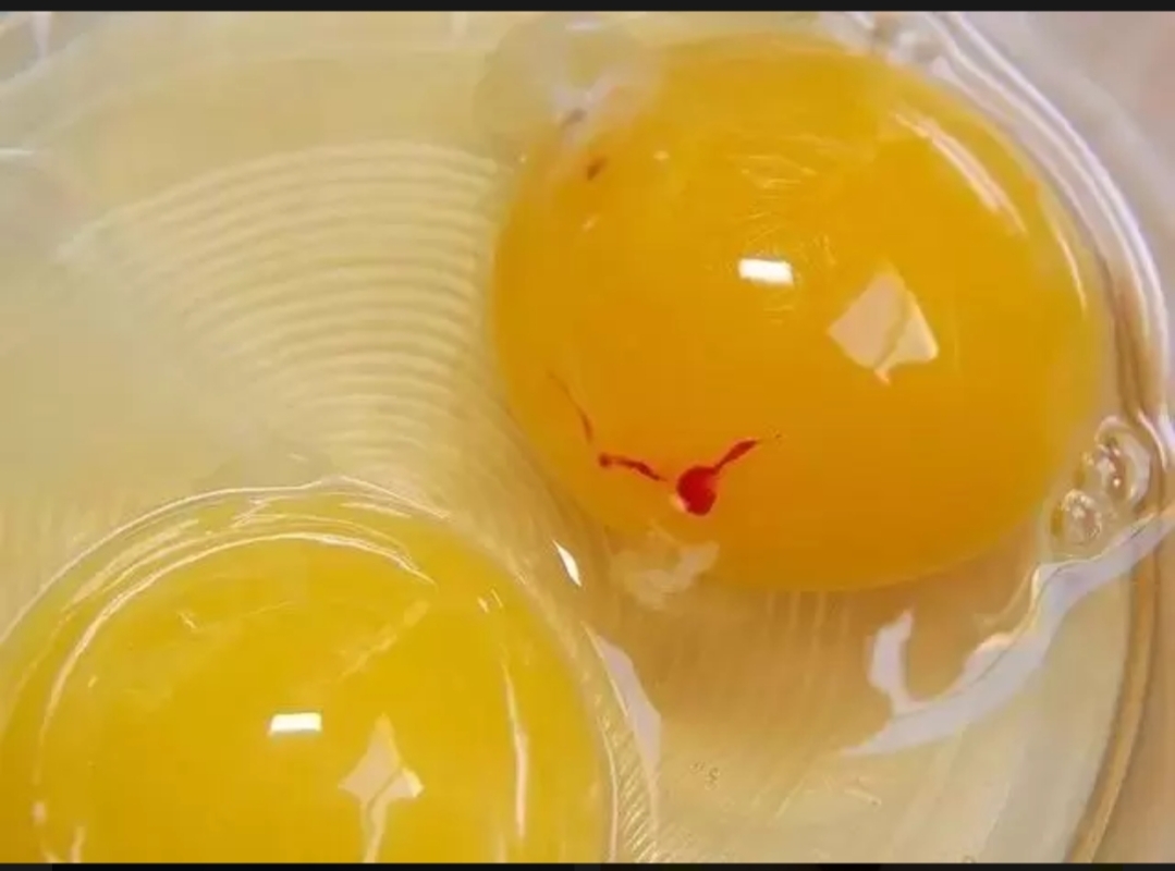 鸡蛋里有血丝,这样判断后,再做决定