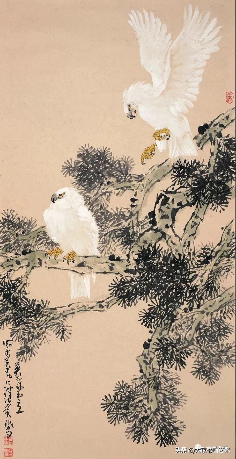贾宝珉写意花鸟画谱山石篇,贾宝珉花鸟画稿精选图文