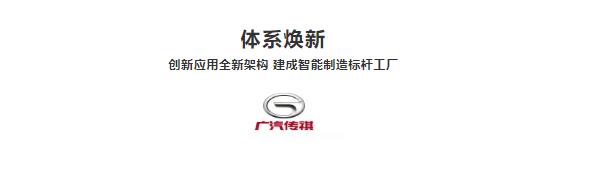 5年收获超50万车主认可广汽传祺,广汽传祺十大年度新锐品牌