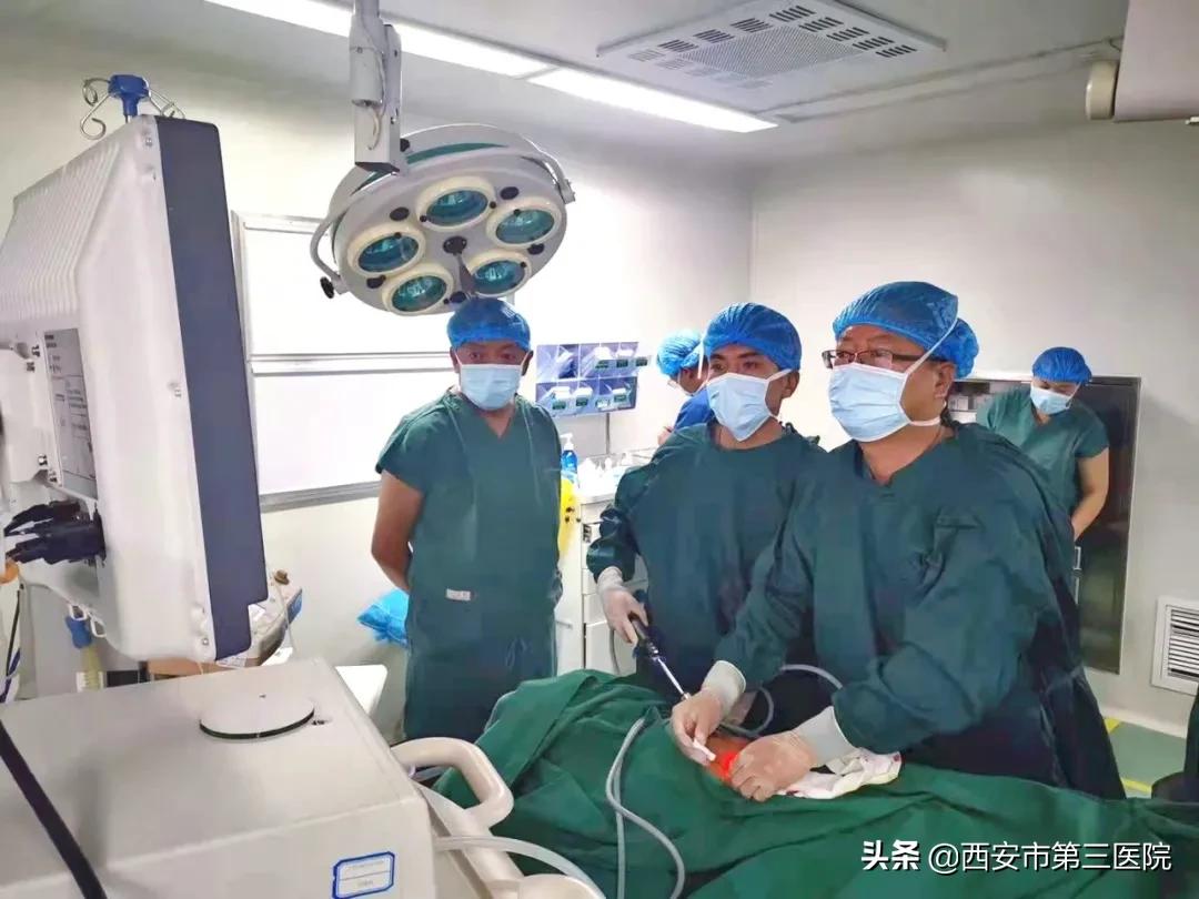 十月回顾|西北大学附属医院•西安市第三医院动态“月”读