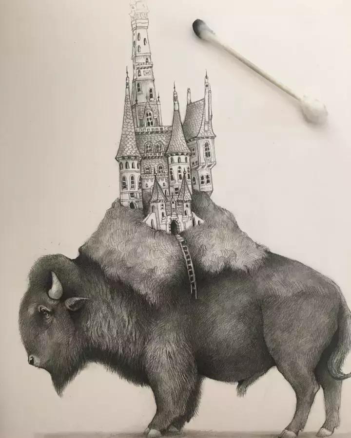 好看的动物素描,一看就会的动物素描